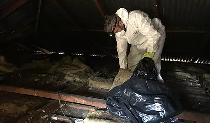 attic decontamination