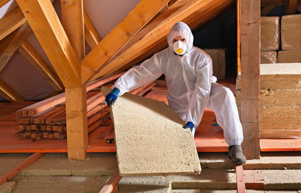 Insulation And Pests: What’s The Attraction?