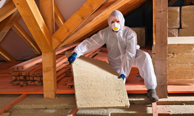 Insulation And Pests: What’s The Attraction?