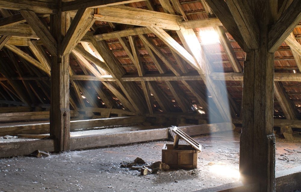 Top 5 Signs You’re In Need of A Professional Attic Cleaning